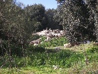ntrada Ilice-201011114 113